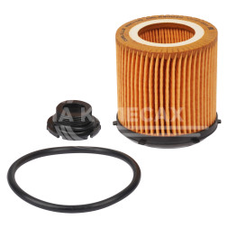 Фильтр масляный для автомобилей BMW 5 F10 (11-)/3 F30/F80 (11-) 2.0i