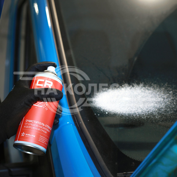 Очиститель стекол от следов насекомых, аэрозоль, 520мл