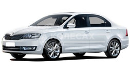 Внешние ремонтные пороги Skoda Rapid 1дорест/1рест