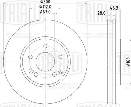 Диск тормозной передний для автомобилей Mercedes-Benz C (W203) / E (W210) / CLK (C208) d=300