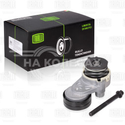 Ролик приводного ремня для автомобилей Chevrolet Cruze (09-) 1.6i/1.8i (с натяжным механизмом) (22x63) (CM 0507)