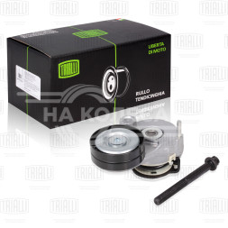 Ролик приводного ремня для автомобилей Chevrolet Cruze (09-) 1.6i/1.8i (с натяжным механизмом) (22x63) (CM 0507)