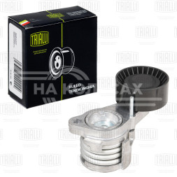 Ролик приводного ремня для автомобилей BMW 5 F10 (10-) 3.0i [N52N; N53] с натяжным механизмом (ремень 8PK)