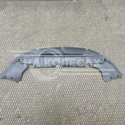 Защита переднего бампера Ford Focus 2