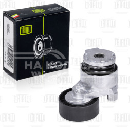 Ролик приводного ремня для автомобилей Renault Duster (10-) 1.5dCi (с натяжным механизмом) (CM 1406)