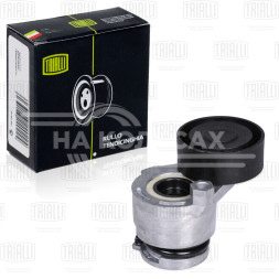 Ролик приводного ремня для автомобилей Renault Duster (10-) 1.5dCi (с натяжным механизмом) (CM 1406)