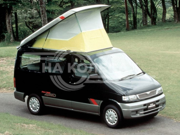Арки задние Ford Freda