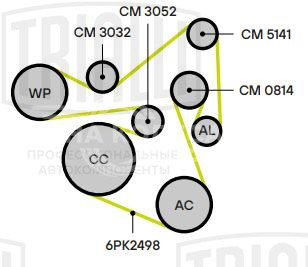 Ролик приводного ремня для автомобилей Hyundai Sante Fe (12-) 2.0d/2.2d (с натяжным механизмом) (CM 3052)
