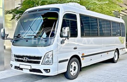 Внешние ремонтные пороги Hyundai County