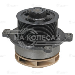 Насос водяной для автомобилей Iveco Stralis (02-) [Cursor 10/13]