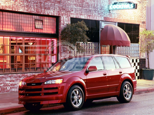 Арки задние Isuzu Axiom 1