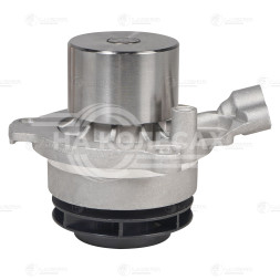 Насос водяной для автомобилей VW Tiguan (16-)/Transporter T6 (16-) 2.0TDI [EA288] (без шторки)