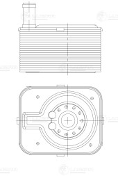 Радиатор масляный для автомобилей Golf (03-)/Touareg (10-) 2.0TDI/3.6 FSi