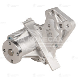 Насос водяной для автомобилей Ford Focus II (08-) 1.4/1.6