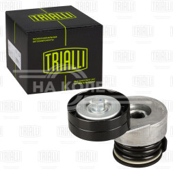 Ролик привод. ремня для автомобилей Opel Zafira B (05-)/Astra H (04-) 1.7d (с натяж. мех.) (CM 5344)