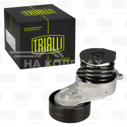 Ролик привод. ремня для автомобилей Opel Zafira B (05-)/Astra H (04-) 1.7d (с натяж. мех.) (CM 5344)