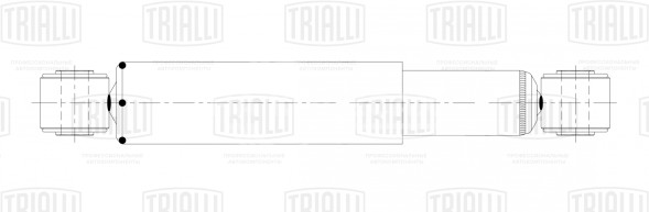 Амортизатор передний для автомобиля IVECO Daily (06-) 45