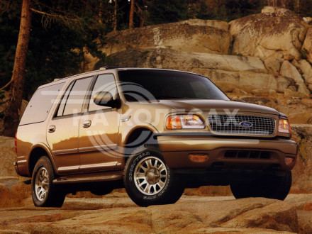 Карманы задние Ford Expedition 1