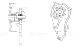 Насос водяной для автомобилей Honda Accord (03-)/CR-V (02-) 2.0i [K20A4]