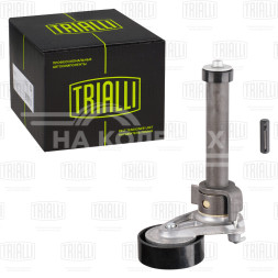 Ролик приводного ремня для автомобилей VW Tiguan (07-) 1.8TSi/2.0TSi [EA888 gen.2] с натяжным механизмом