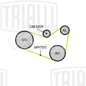 Ролик приводного ремня для автомобилей VW Tiguan (07-) 1.8TSi/2.0TSi [EA888 gen.2] с натяжным механизмом