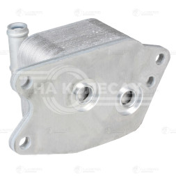 Радиатор масляный для автомобилей Polo (09-)/Skoda Rapid (12-) 1.6i [CFNA] AT