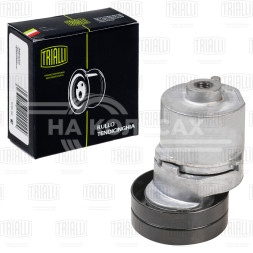 Ролик привод. ремня для автомобилей Ford Escort VI (95-) 1.6i/1.8i (с натяж. мех.) (CM 5349)