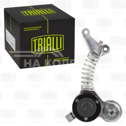 Ролик приводного ремня для автомобилей Audi A6 (97-)/A6 (04-) 3.0i с натяжным механизмом