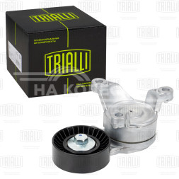 Ролик приводного ремня для автомобилей Peugeot 307 (00-) 1.8i/2.0i/2.2i [EW7A; EW10A; EW12A] (с натяжным механизмом)