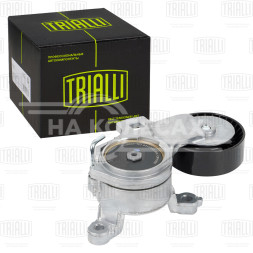 Ролик приводного ремня для автомобилей Peugeot 307 (00-) 1.8i/2.0i/2.2i [EW7A; EW10A; EW12A] (с натяжным механизмом)