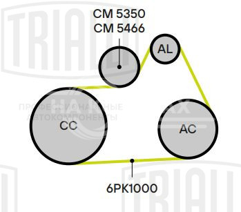 Ролик приводного ремня для автомобилей Peugeot 307 (00-) 1.8i/2.0i/2.2i [EW7A; EW10A; EW12A] (с натяжным механизмом)