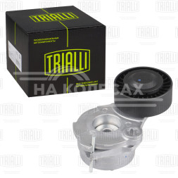 Ролик приводного ремня для автомобилей VW Touareg II (10-)/Audi Q7 (06-) 3.0d [EA897] с натяжным механизмом