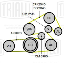 Ролик приводного ремня для автомобилей Toyota Camry (06-)/Land Cruiser Prado (02-)/Land Cruiser Prado (09-)/Highlander (08-) 2.7i/2.8d/3.5i/4.0i [TR; RZ; GD; GR] (опорный) h=33 (CM 1905)