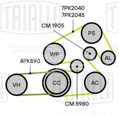 Ролик приводного ремня для автомобилей Toyota Camry (06-)/Land Cruiser Prado (02-)/Land Cruiser Prado (09-)/Highlander (08-) 2.7i/2.8d/3.5i/4.0i [TR; RZ; GD; GR] (опорный) h=33 (CM 1905)