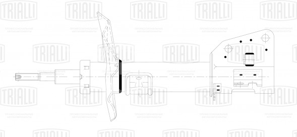 Амортизатор (стойка) передний левый/правый для автомобиля Renault Master (10-)