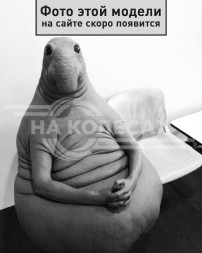 Ремонтные пороги Ford Expedition 2