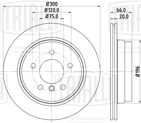 Диск тормозной задний для автомобилей BMW X1 (E84) (09-)/1 (E81/87)/3 (E90/91/92/93) d=300 окрашенный