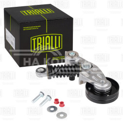 Ролик приводного ремня для автомобилей VW Touareg (02-)/Audi Q7 (06-) 4.2FSi (с натяжным механизмом)