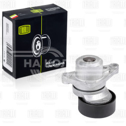 Ролик приводного ремня для автомобилей Peugeot 307 (00-) 1.4i/1.6i с электро-гидравлическим усилителем руля (с натяжным механизмом) d=65