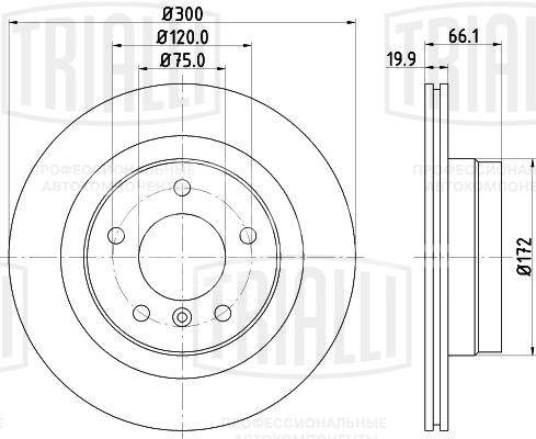 Диск тормозной задний для автомобилей BMW 3 (E90/91/92/93) (05-)/ 1 (E81/87) (04-) d=300 окрашенный