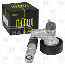 Ролик приводного ремня для автомобилей VW Touareg (04-) 2.7d/3.0d [EA896] с натяжным механизмом