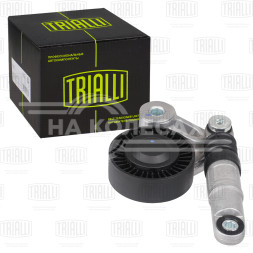 Ролик приводного ремня для автомобилей VW Touareg (04-) 2.7d/3.0d [EA896] с натяжным механизмом