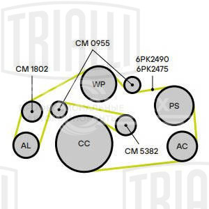 Ролик приводного ремня для автомобилей VW Touareg (04-) 2.7d/3.0d [EA896] с натяжным механизмом