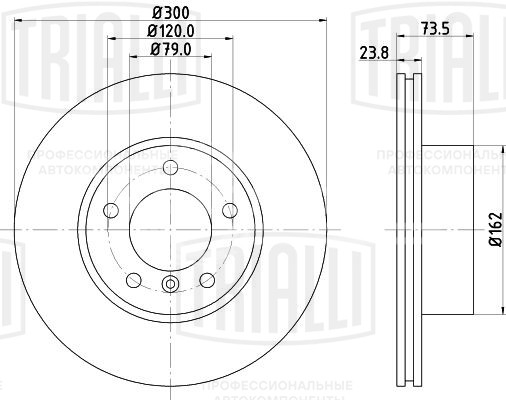 Диск тормозной передний для автомобилей BMW 3 (E90/91/92/93) (05-)/ 1 (E81/87) (04-) d=300 окрашенный