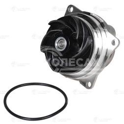 Насос водяной для автомобилей Ford Focus I/Mondeo (00-) 1.8/2.0