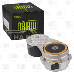 Ролик приводного ремня для автомобилей ГАЗ 33106 Валдай/ПАЗ 3205/FOTON (дв. Cummins ISF 3.8) (с натяжным механизмом)