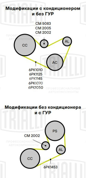 Ролик приводного ремня для автомобилей Peugeot 206 (98-) 1.1i/1.4i/1.6i (с натяжным механизмом) ручная регулировка