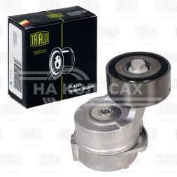 Ролик привод. ремня для автомобилей Kia Sorento (02-)/Hyundai H-1 (07-) 2.5d (с натяж. мех.) (CM 5050)