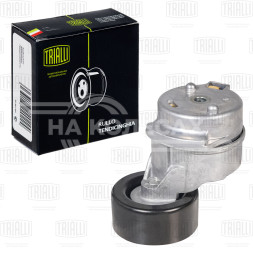 Ролик привод. ремня для автомобилей Kia Sorento (02-)/Hyundai H-1 (07-) 2.5d (с натяж. мех.) (CM 5050)