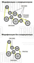Ролик привод. ремня для автомобилей Kia Sorento (02-)/Hyundai H-1 (07-) 2.5d (с натяж. мех.) (CM 5050)